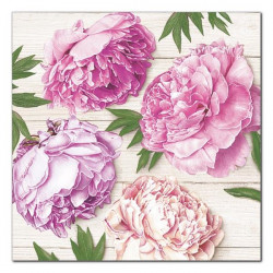 POLMAK - Serwetki Daisy -...