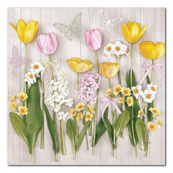 POLMAK - Serwetki Daisy -...
