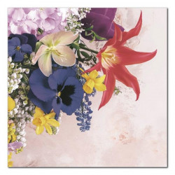 POLMAK - Serwetki Daisy -...