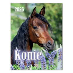 ARTSEZON - Kalendarz 7PL -...