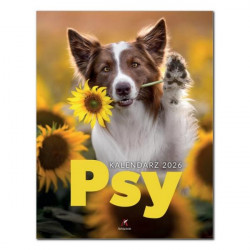 ARTSEZON - Kalendarz 7PL - Psy
