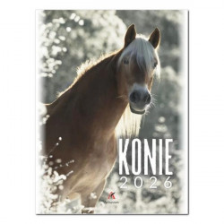 ARTSEZON - Kalendarz...