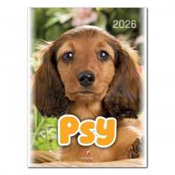 ARTSEZON - Kalendarz...