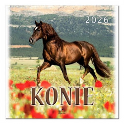 ARTSEZON - Kalendarz...