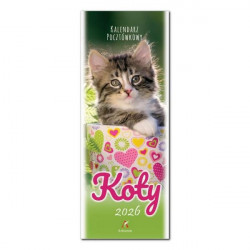 ARTSEZON-KALENDARZ...