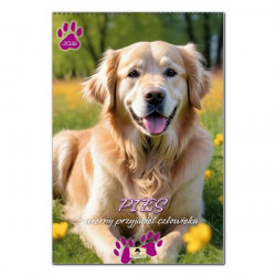 PAN KALENDARZYK - Kalendarz...