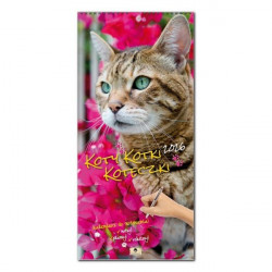 PAN KALENDARZYK - Kalendarz...