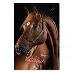 AVANTI - Kalendarz ścienny...