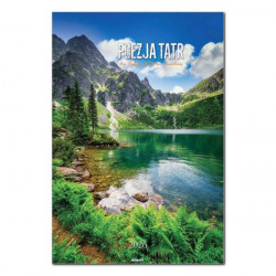 AVANTI - Kalendarz ścienny...