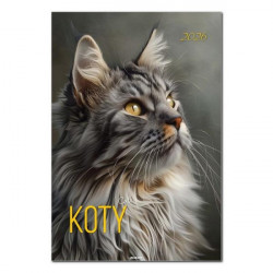 AVANTI - Kalendarz ścienny...