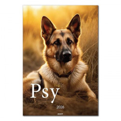 AVANTI - Kalendarz ścienny...