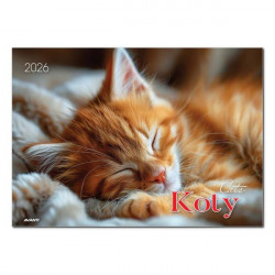 AVANTI - Kalendarz albumowy...