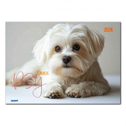 AVANTI - Kalendarz albumowy...