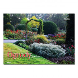 AVANTI - Kalendarz albumowy...