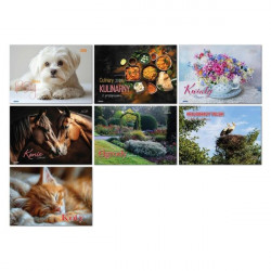 AVANTI - Kalendarz albumowy...