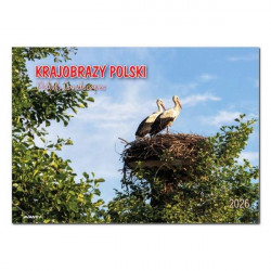 AVANTI - Kalendarz albumowy...