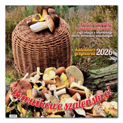 AVANTI - Kalendarz albumowy...