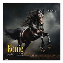 AVANTI - Kalendarz albumowy...