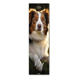 AVANTI - Kalendarz paskowy...