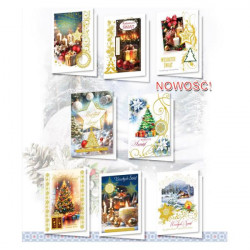 TOPGRAPHIC - Karnet BNGOP -...