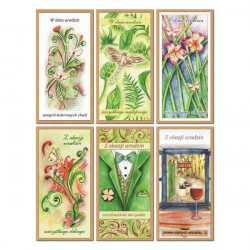 ALIGATOR - Karnet KRY -...