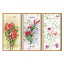 ALIGATOR - Karnet KRY -...