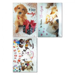 MAJA - Karnet M7 - Urodziny...