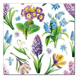 POLMAK - Serwetki Daisy -...