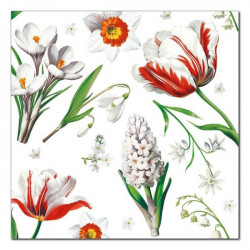 POLMAK - Serwetki Daisy -...