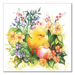 POLMAK - Serwetki DAISY -...