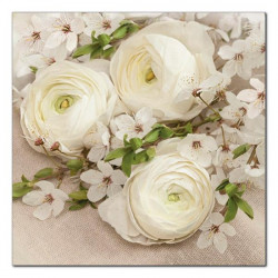 POLMAK - Serwetki Daisy -...